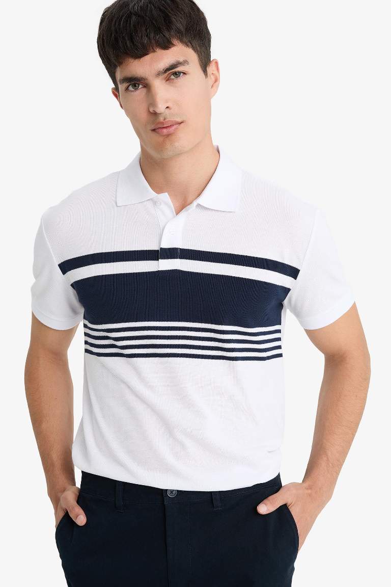Regular Fit Polo Yaka Kısa Kollu Çizgili Tişört