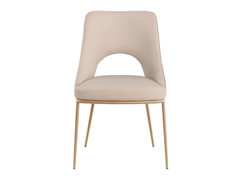 Amelia 21.3" Wide Dining Chair (Set of 2)